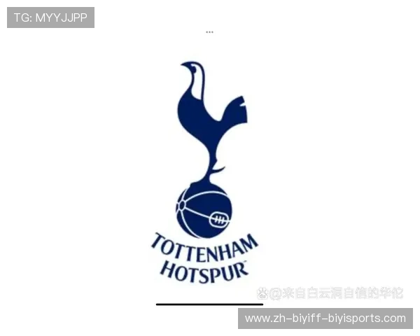 意甲球队破产程序及俱乐部财务风险案例研究